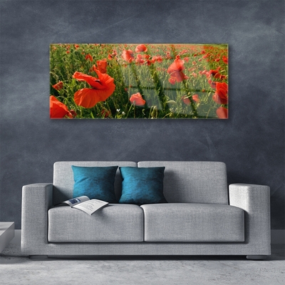 Glass Wall Art Poppies nature red green