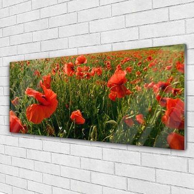 Glass Wall Art Poppies nature red green