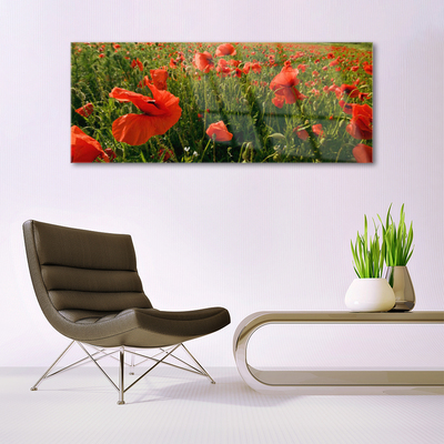 Glass Wall Art Poppies nature red green