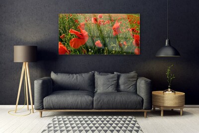 Glass Wall Art Poppies nature red green