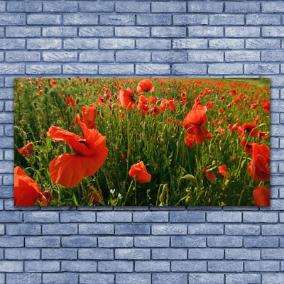 Glass Wall Art Poppies nature red green