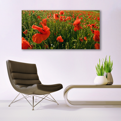 Glass Wall Art Poppies nature red green