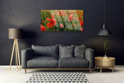 Glass Wall Art Poppies nature red green