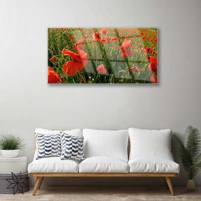 Glass Wall Art Poppies nature red green