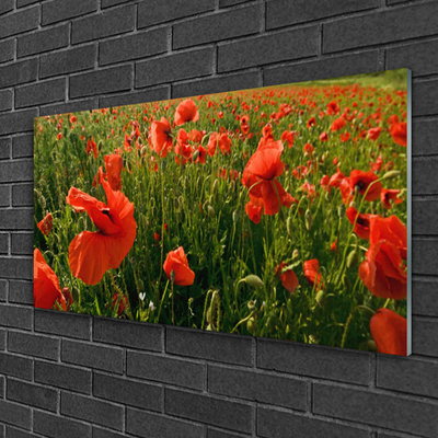 Glass Wall Art Poppies nature red green