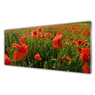 Glass Wall Art Poppies nature red green