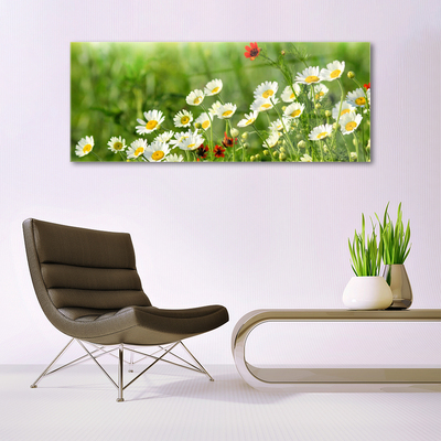 Glass Wall Art Daisy nature yellow white