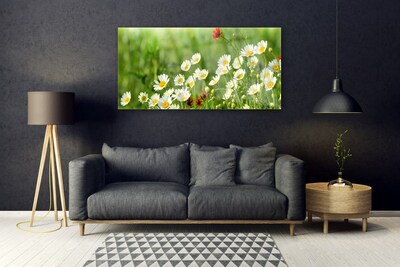 Glass Wall Art Daisy nature yellow white