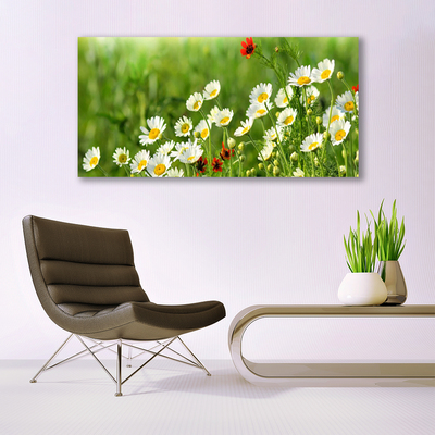 Glass Wall Art Daisy nature yellow white