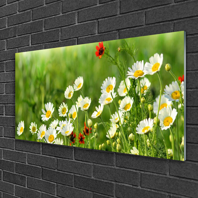 Glass Wall Art Daisy nature yellow white