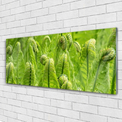 Glass Wall Art Plants floral green