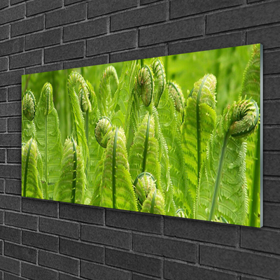 Glass Wall Art Plants floral green