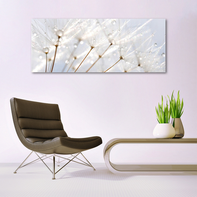 Glass Wall Art Dandelion floral white