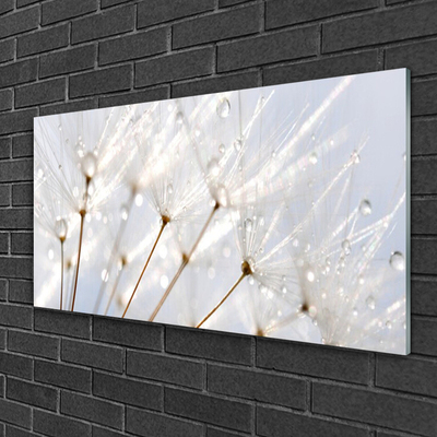 Glass Wall Art Dandelion floral white