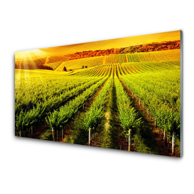 Glass Wall Art Field nature green brown