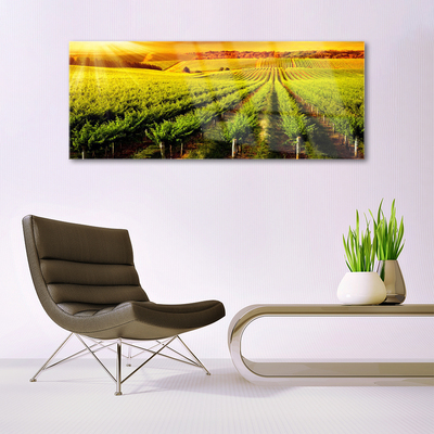 Glass Wall Art Field nature green brown