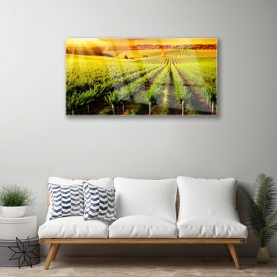 Glass Wall Art Field nature green brown