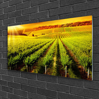 Glass Wall Art Field nature green brown