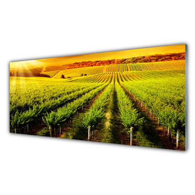 Glass Wall Art Field nature green brown