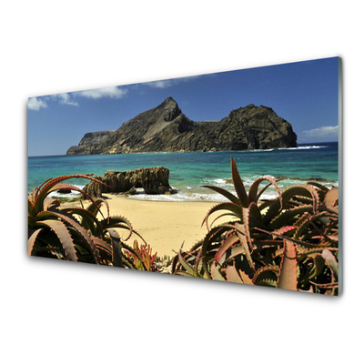 Glass Wall Art Beach sea rocks landscape brown blue grey