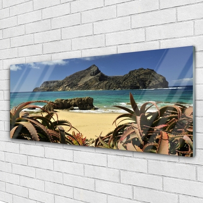 Glass Wall Art Beach sea rocks landscape brown blue grey