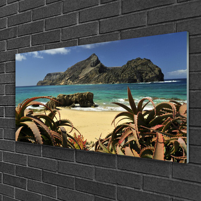 Glass Wall Art Beach sea rocks landscape brown blue grey