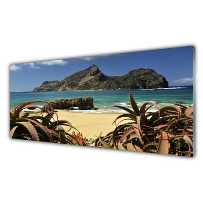 Glass Wall Art Beach sea rocks landscape brown blue grey