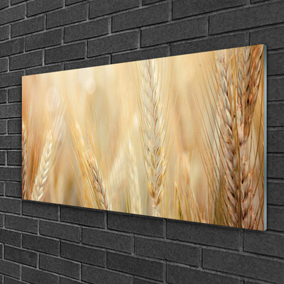 Glass Wall Art Wheat floral brown