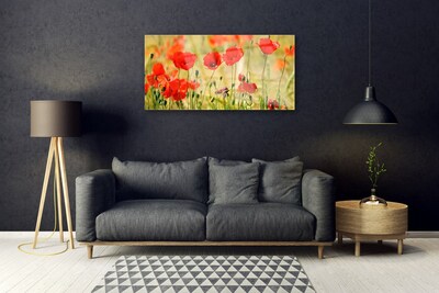 Glass Wall Art Poppies nature red green