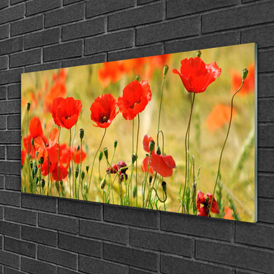 Glass Wall Art Poppies nature red green