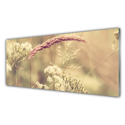 Glass Wall Art Wild plants floral white brown