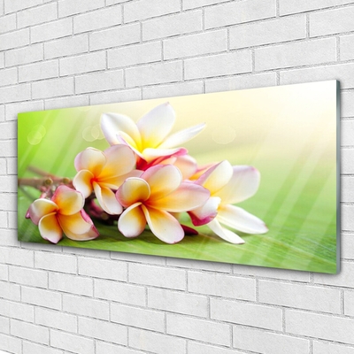 Glass Wall Art Flowers floral red white yellow