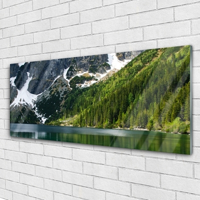 Glass Wall Art Lake forest mountains landscape grey white green