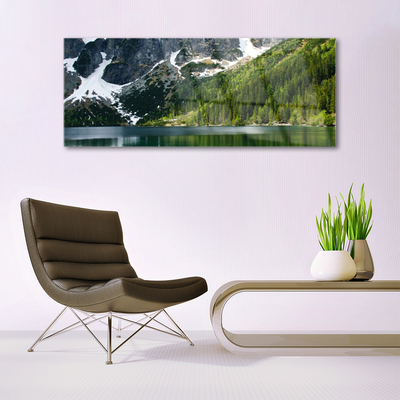 Glass Wall Art Lake forest mountains landscape grey white green