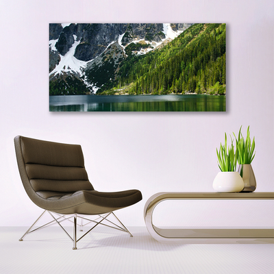 Glass Wall Art Lake forest mountains landscape grey white green