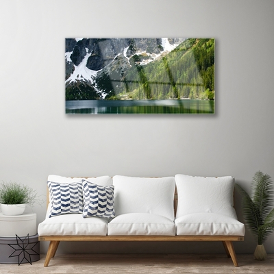 Glass Wall Art Lake forest mountains landscape grey white green