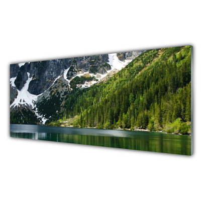 Glass Wall Art Lake forest mountains landscape grey white green