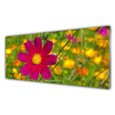 Glass Wall Art Flower floral yellow red