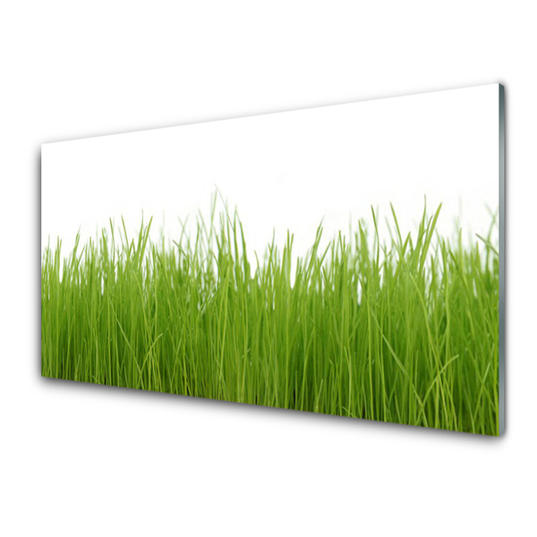 Glass Wall Art Grass nature green