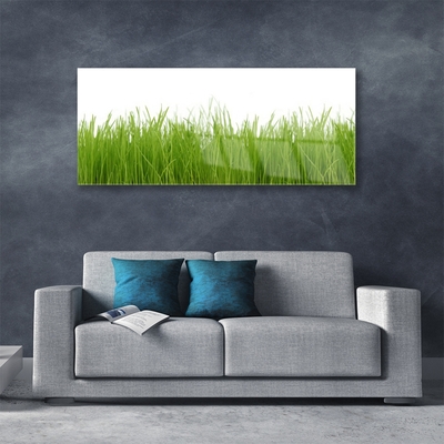 Glass Wall Art Grass nature green