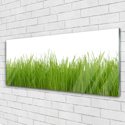 Glass Wall Art Grass nature green