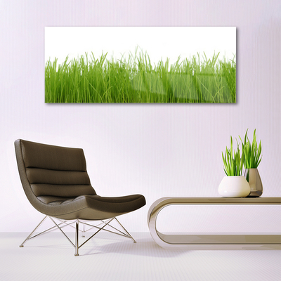 Glass Wall Art Grass nature green