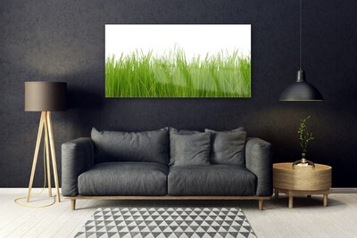 Glass Wall Art Grass nature green