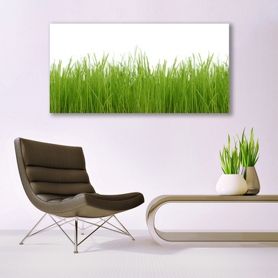 Glass Wall Art Grass nature green