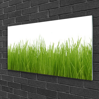 Glass Wall Art Grass nature green