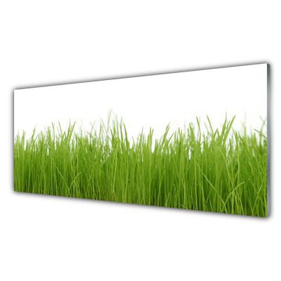 Glass Wall Art Grass nature green