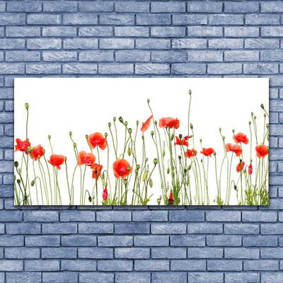 Glass Wall Art Poppies floral red green