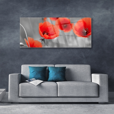 Glass Wall Art Poppies floral red grey