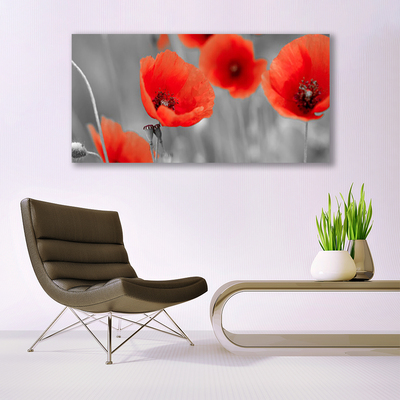 Glass Wall Art Poppies floral red grey