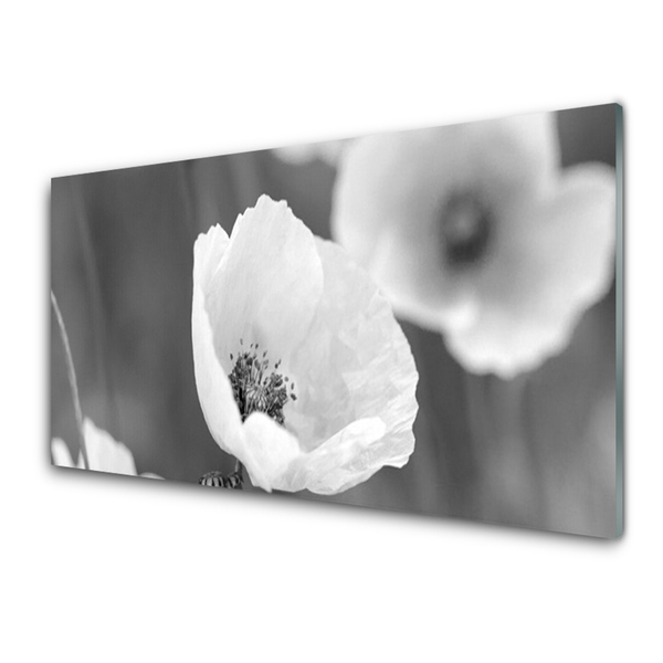 Glass Wall Art Poppies floral grey